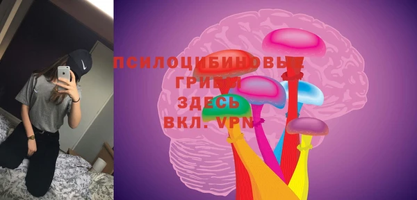 прущие грибы Алексин
