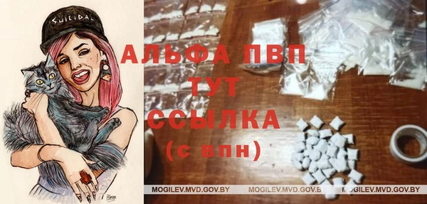 прущие грибы Алексин