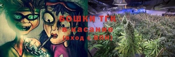 прущие грибы Алексин