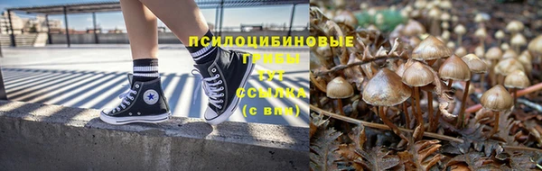 стафф Алзамай