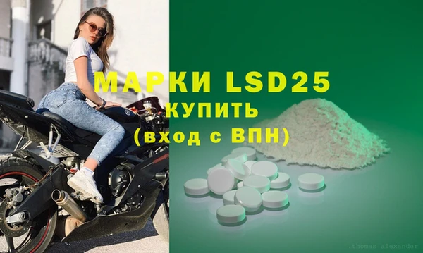 стафф Алзамай