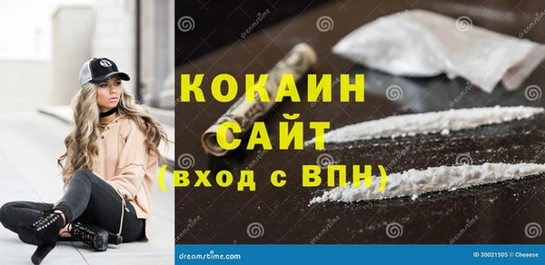 стафф Алзамай