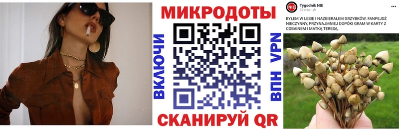 где продают наркотики  Калязин  Галлюциногенные грибы ЛСД 
